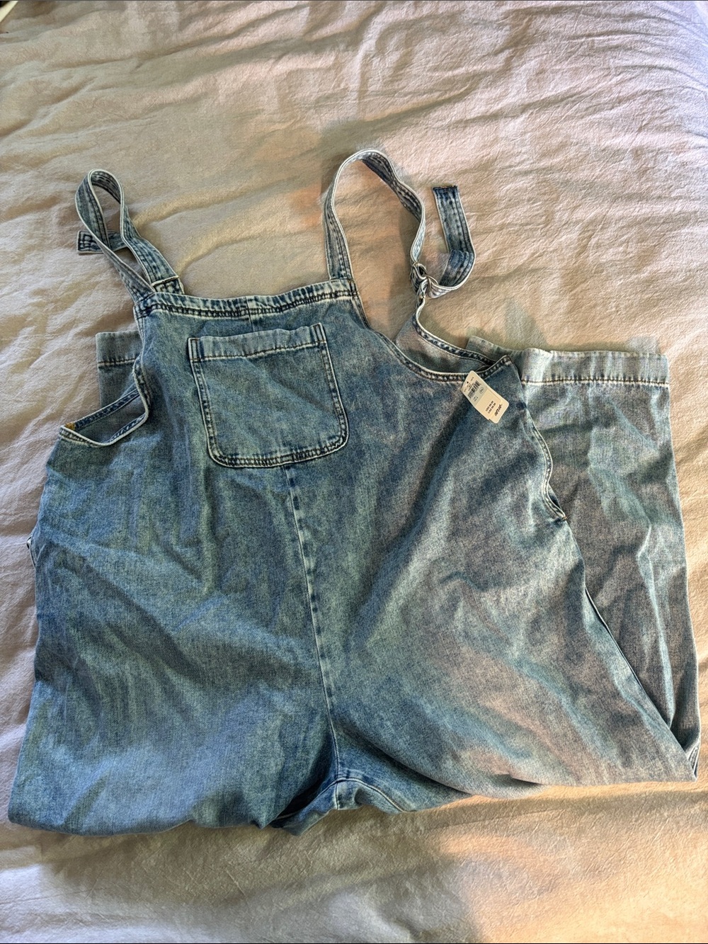 aerie Light Blue Denim Overalls